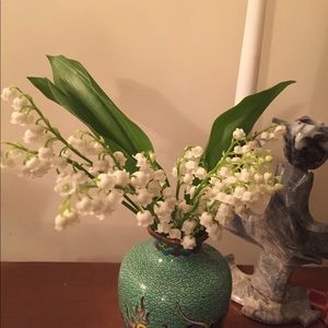 Meet your Posher, Olga